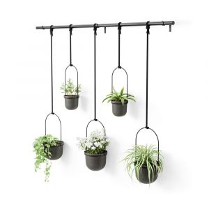 Umbra 1018086-040 Triflora Hanging Planters, Set of 5, 20 lbs Capacity, Wall Mount, Black